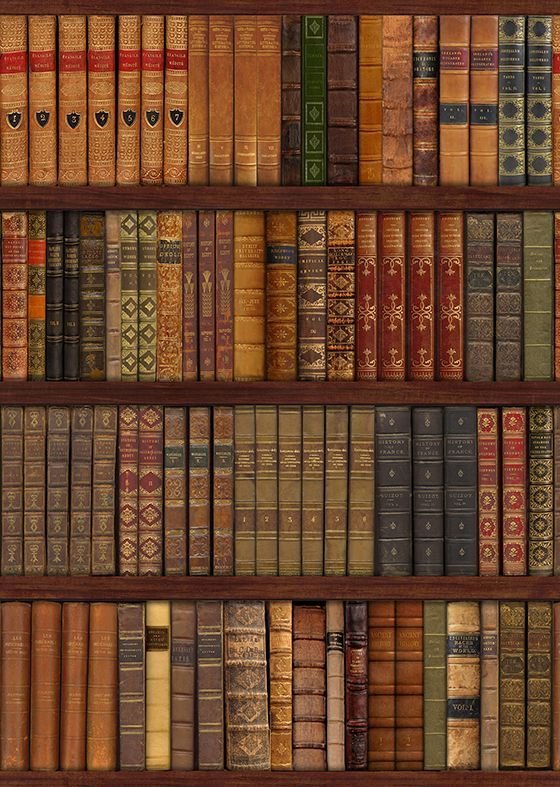 Книжные полки