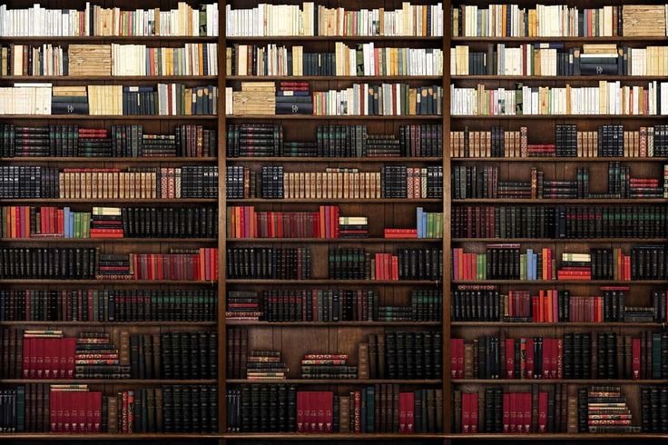 Полка для книг