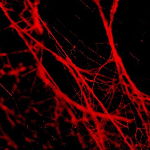 качественная крови