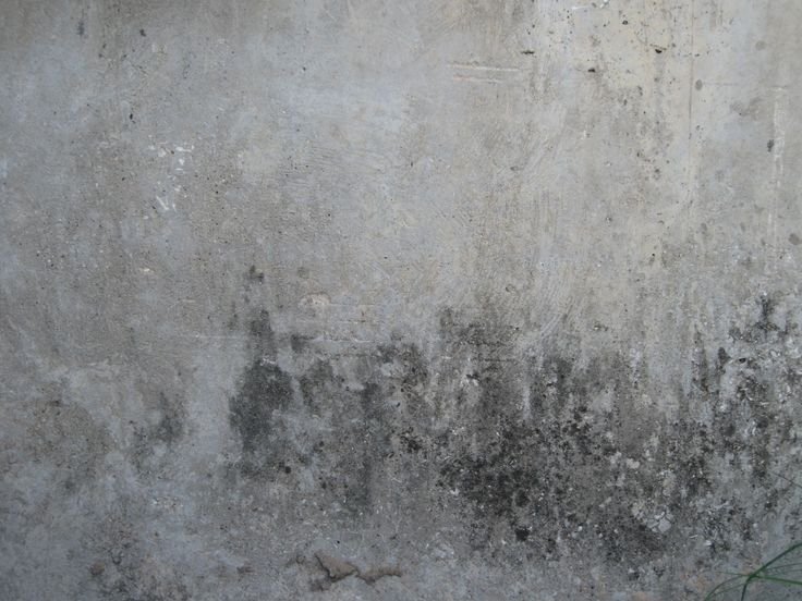 Гранж бетон декоративная штукатурка