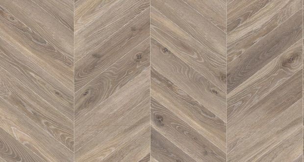 Французская елка дуб Селект