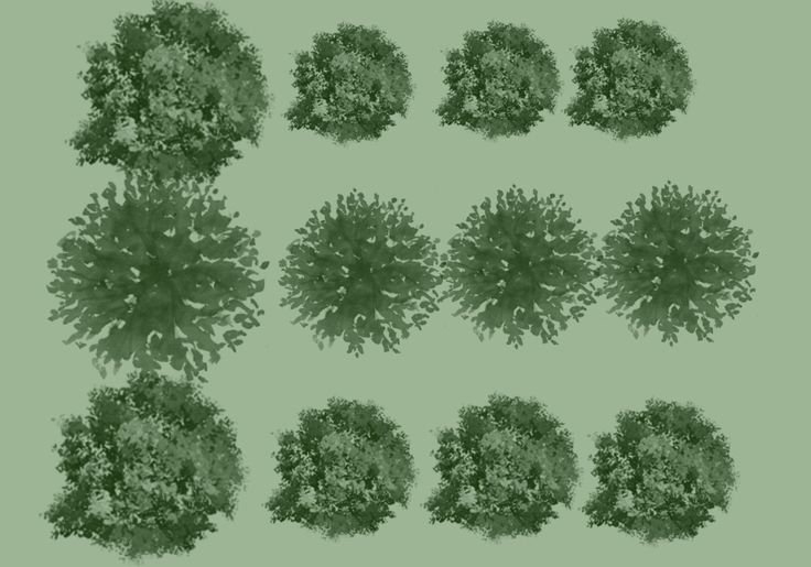 Деревья вид сверху архикад