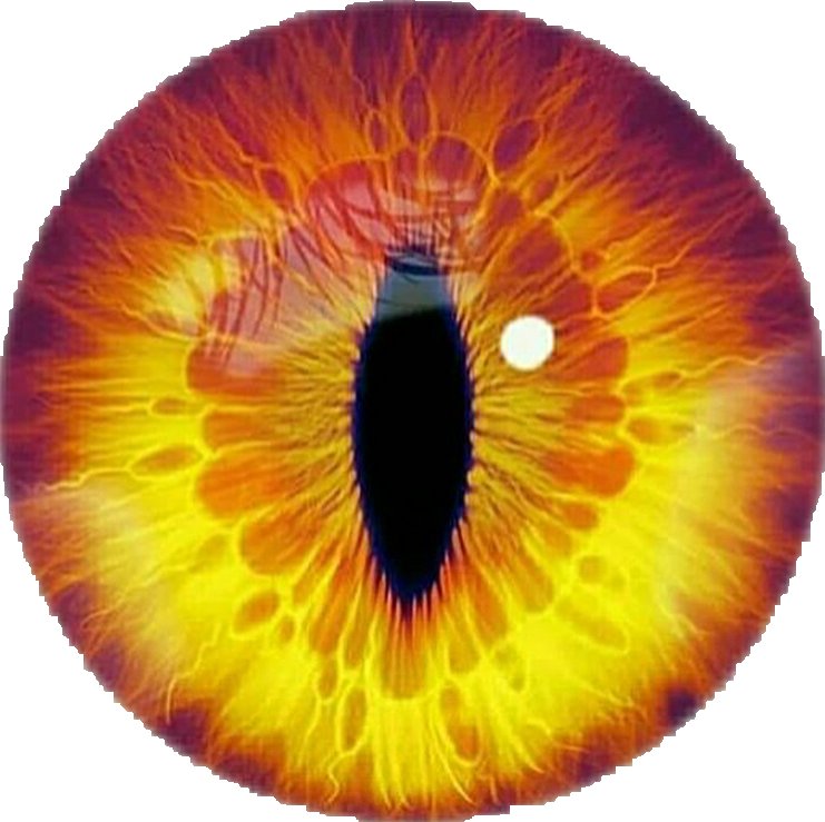 Оранжевый зрачок