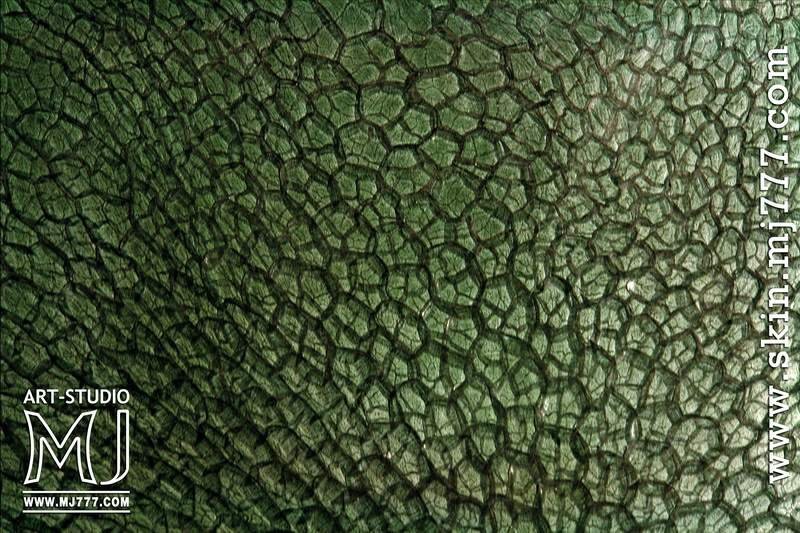 Кожа черепахи