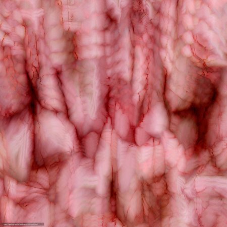 Текстура языка бесшовная