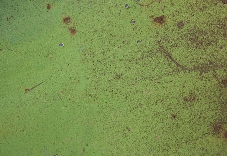 Текстура зеленого металла