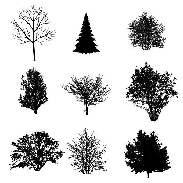 Силуэты деревьев и кустарников