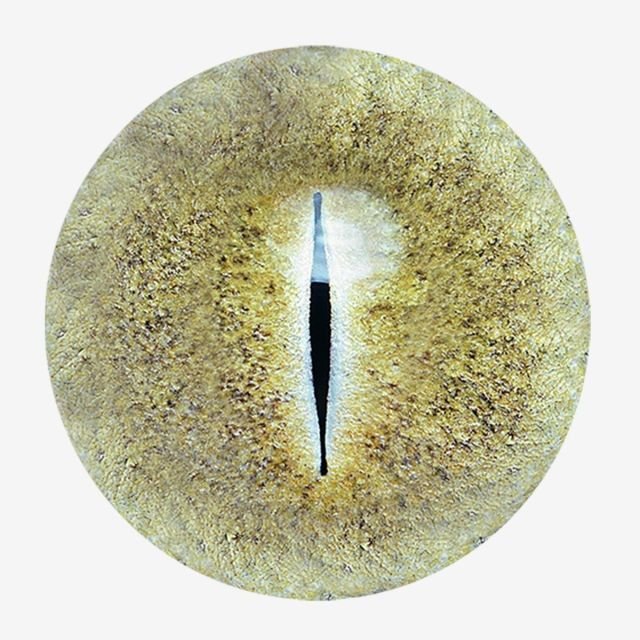 Змеиные глаза для фотошопа