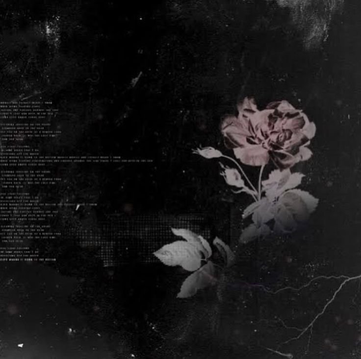 Обложка Эстетика