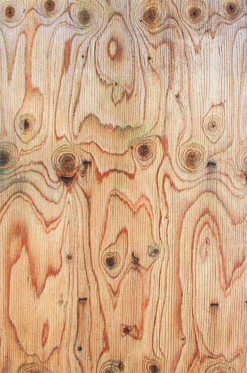 Сосна древесина