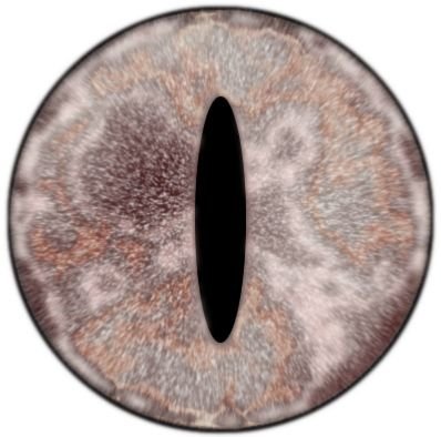 Змеиный глаз текстура