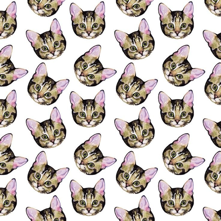 Котята принты