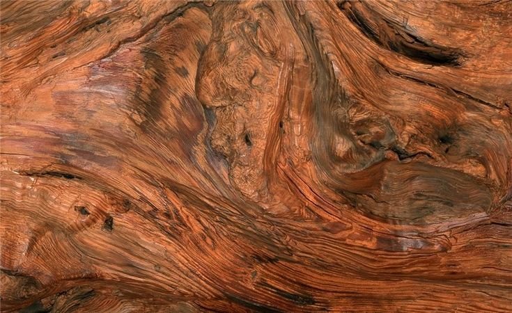 Орех Карибиан натуральный h3778 st9