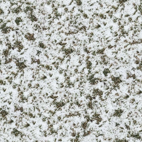 Заснеженный газон