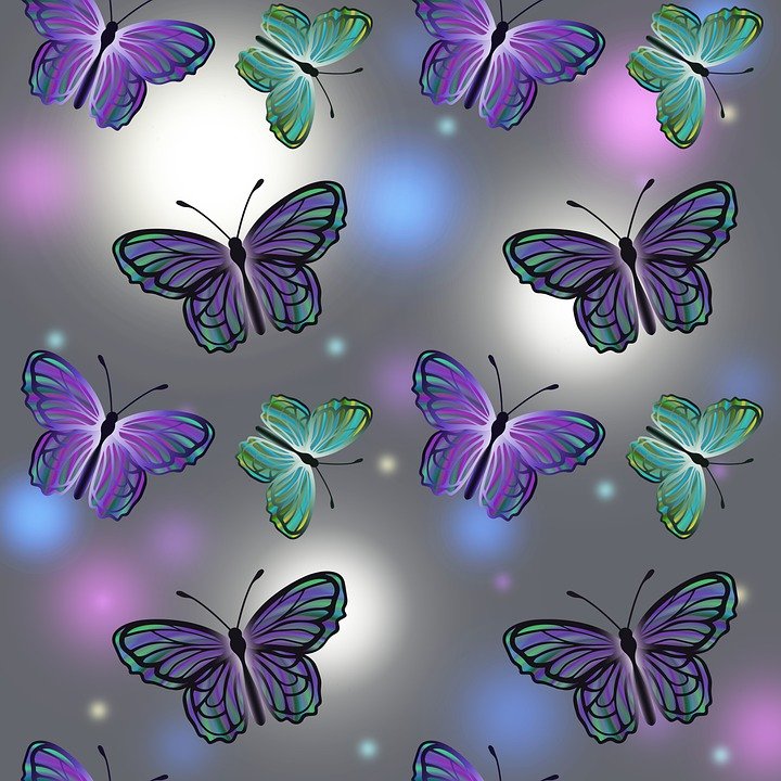 Неоновые бабочки