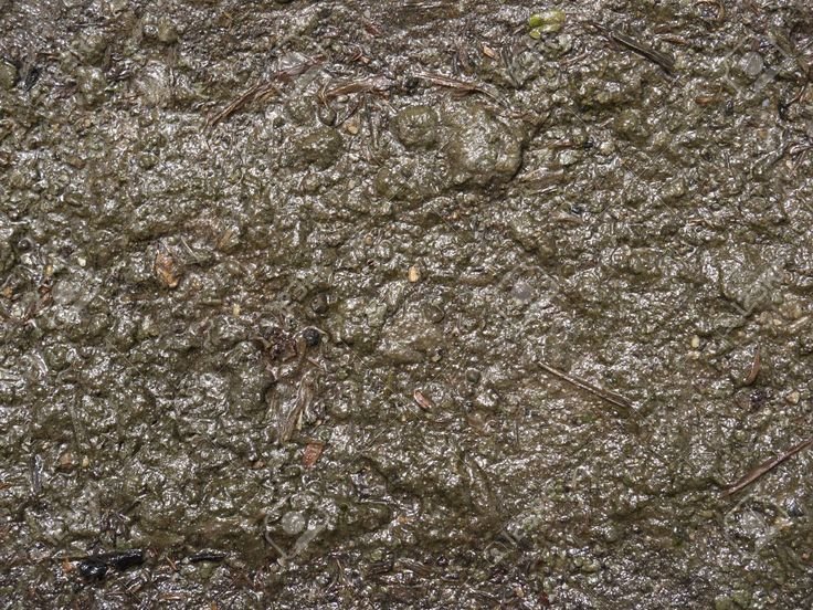 Текстура грязи