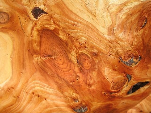 Фактура дерева