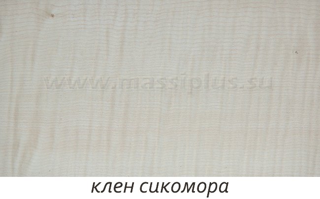 Клен сикоморе