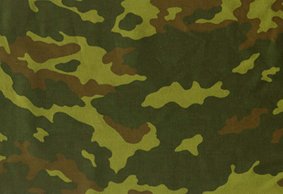 Форма ВСР 98 Флора