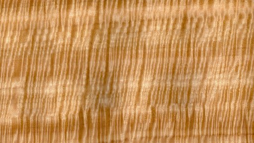 Клен сикамора шпон