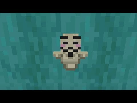 Тотем анонимус майнкрафт