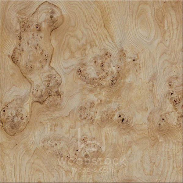 Корень дуба шпон Вудсток