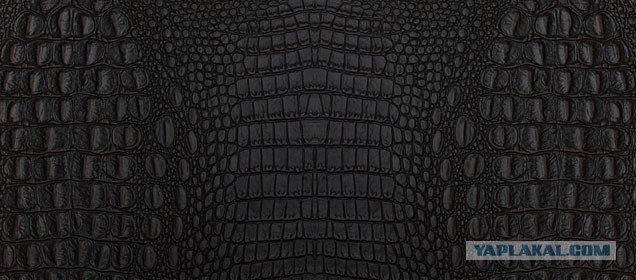 Кожа питона черная