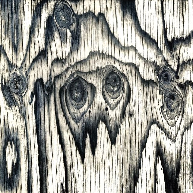 Текстура дерева
