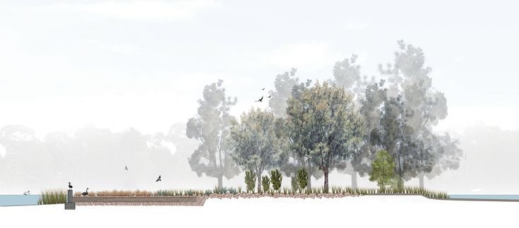 Деревья для архитектурной подачи