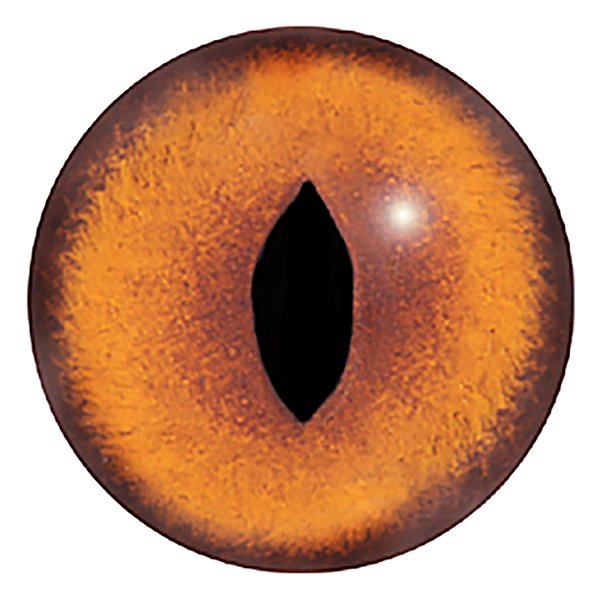 Радужки глаз животных