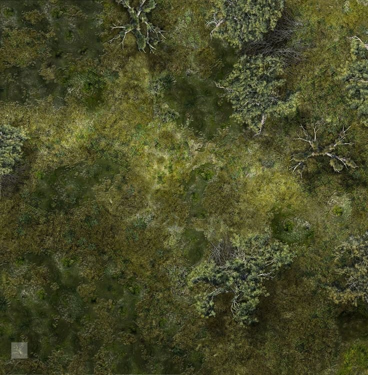 Болота вид сверху