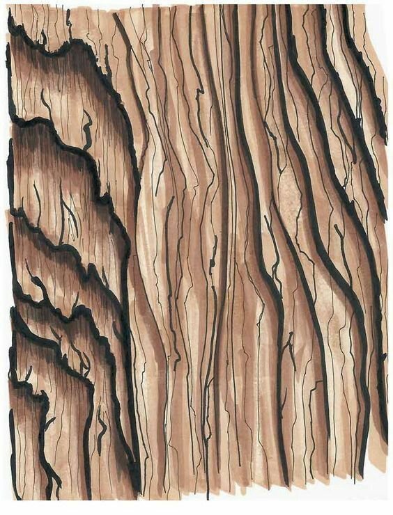 Текстура коры дерева