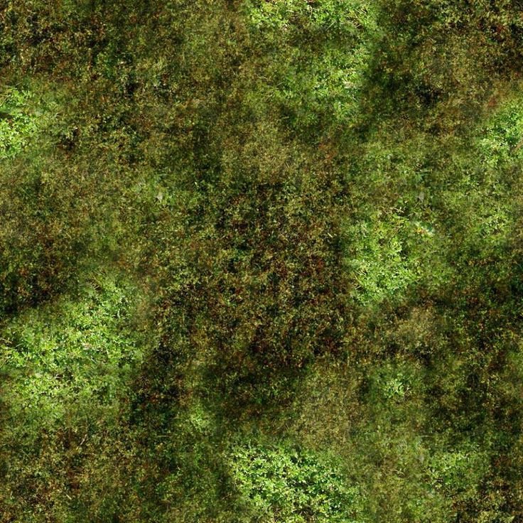 Текстура травы для генплана