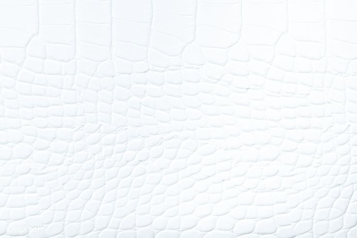 Белая текстура