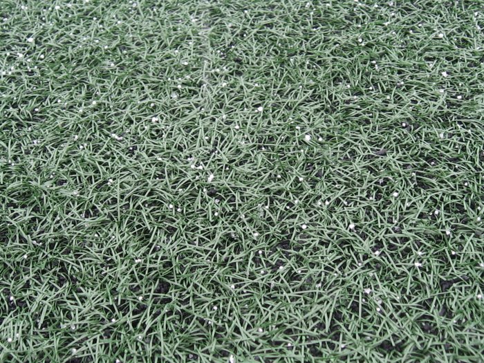 Серый газон