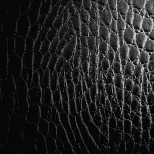 Текстура кожи