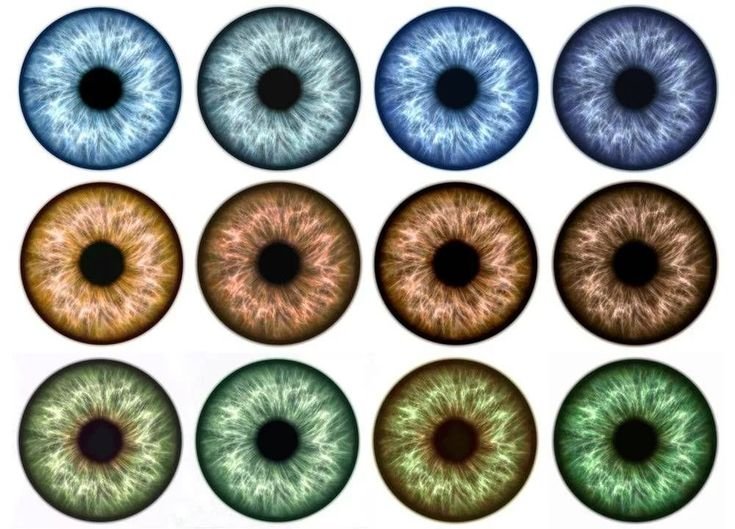 Зрачки для кукол