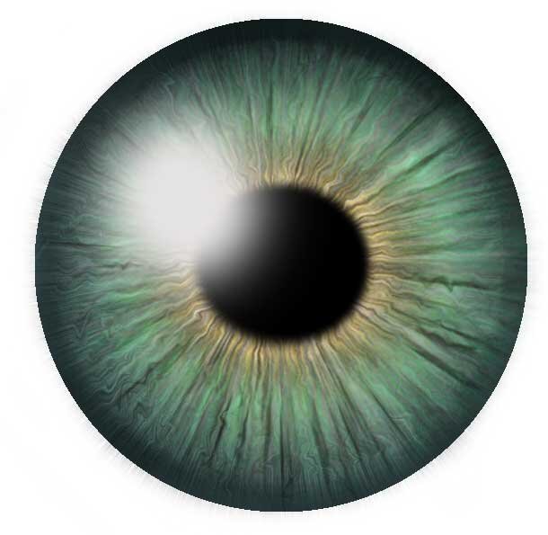 Радужка глаза