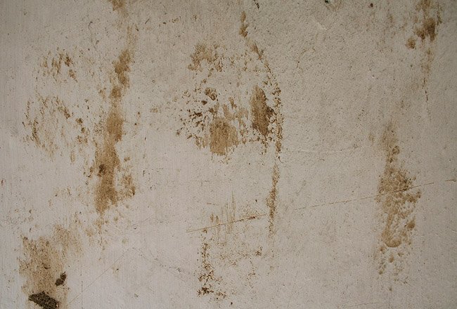 Грязная стена