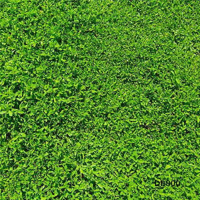 Трава сверху