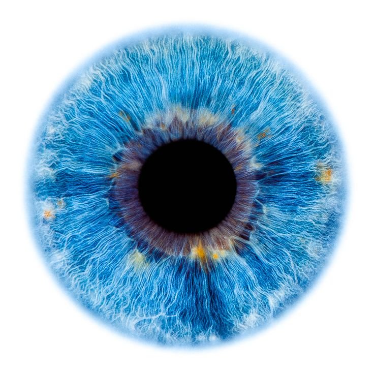 Синяя радужка глаза
