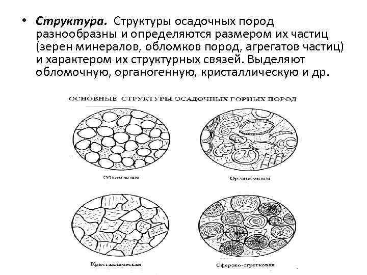 Текстура и структура осадочных пород