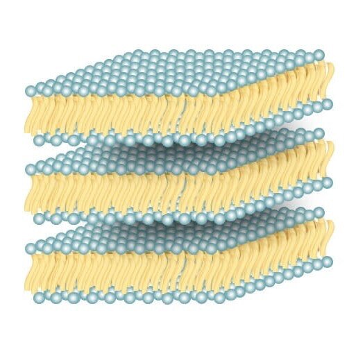 Ламеллярная эмульсия