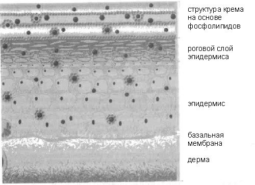 Ламеллярная эмульсия
