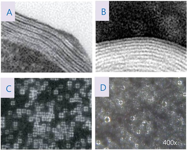 Ламеллярная эмульсия под микроскопом