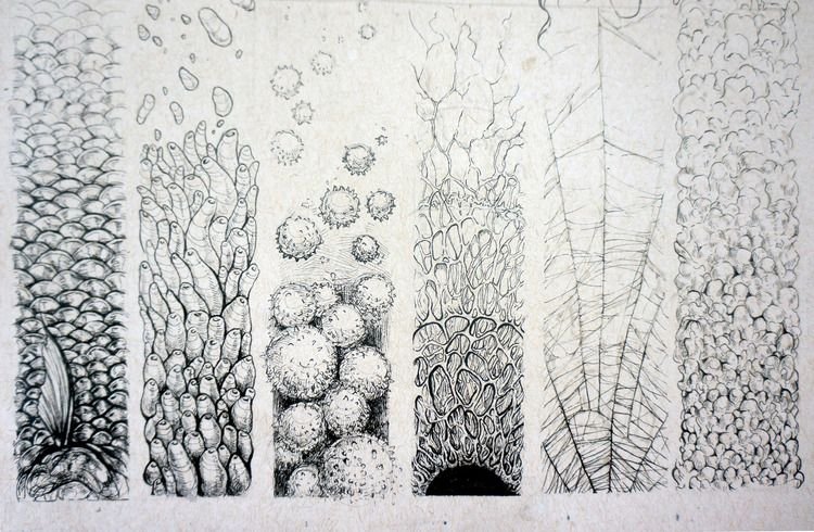 Графические фактуры