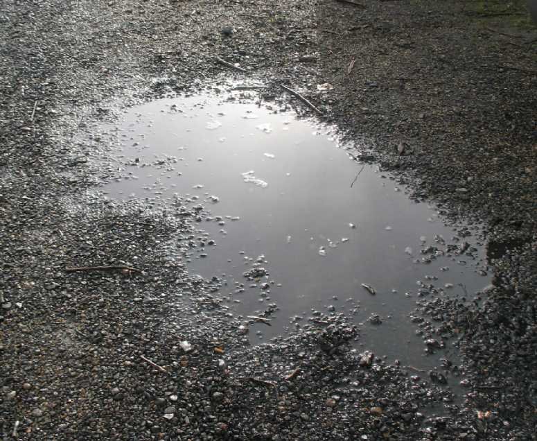 Мокрый асфальт