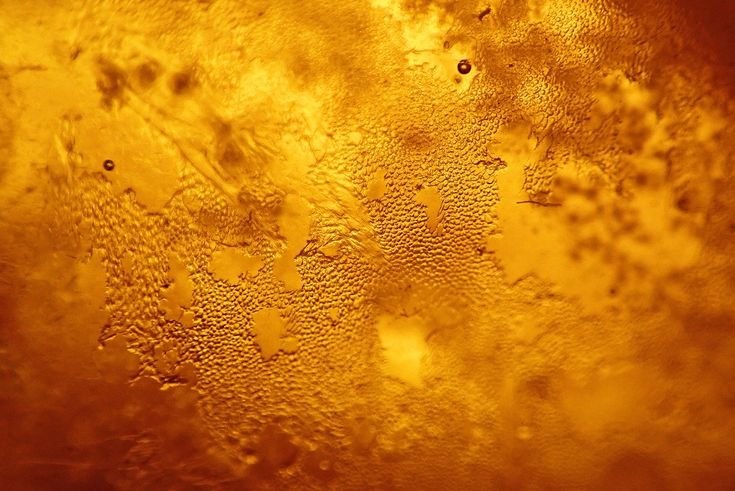 Мед текстура