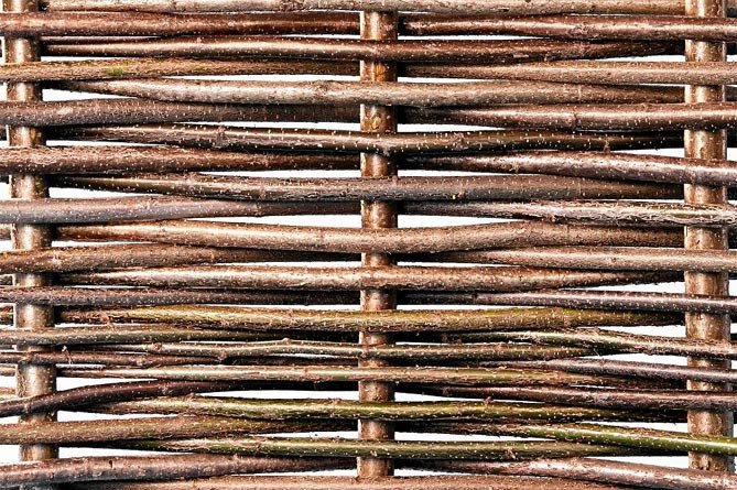 Плетень забор