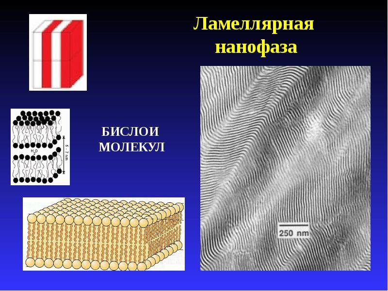 Структура ламеллярной эмульсии